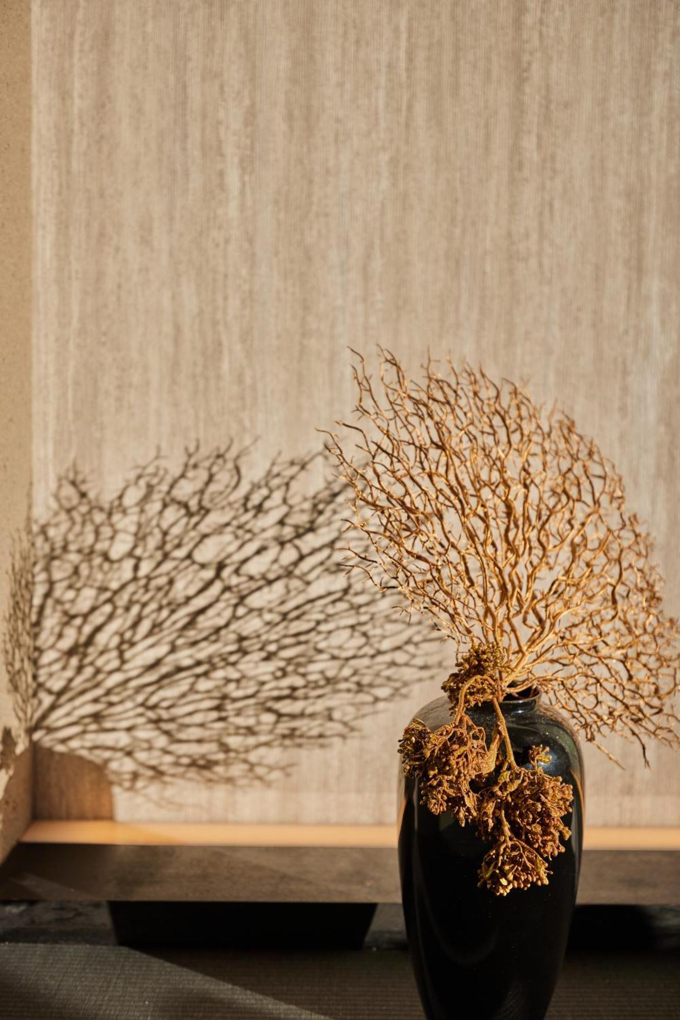 Hakuba Hibiku Chalet By Jade Group Kültér fotó